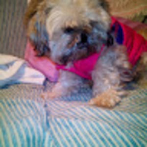 Meet your Posher, Lisa